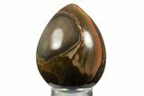 Polished Polychrome Jasper Egg - Madagascar #331722-1